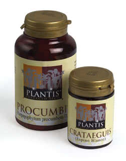 Procumbis (griffe du diable) - capsules (extrait sec nbuliseur) (30 cap-300)