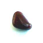 Boulder of Sardinian Jasper (Bag of 5 units)