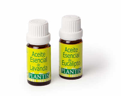 Eucalyptus - essential oil (10 ml)