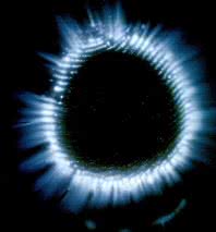 Es posible que tu navegador no permita visualizar esta imagen.