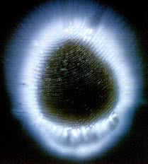 Es posible que tu navegador no permita visualizar esta imagen.